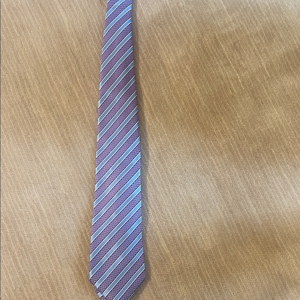 Ermenegildo Zegna Diagonal Striped Tie in Lavender and Sky Blue